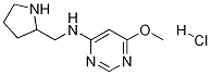 (6-Methoxy-pyriMidin-4-yl)-pyrrolidin-2-ylMethyl-aMine hydrochloride Struktur