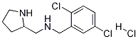 (2,5-Dichloro-benzyl)-pyrrolidin-2-ylmethyl-amine hydrochloride Struktur