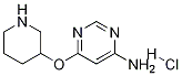 6-(Piperidin-3-yloxy)-pyriMidin-4-ylaMine hydrochloride Struktur