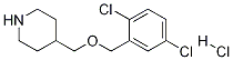 4-(2,5-Dichloro-benzyloxymethyl)-piperidine hydrochloride Struktur