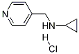 Cyclopropyl-pyridin-4-ylMethyl-aMine hydrochloride Struktur