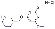 4-Methoxy-2-Methylsulfanyl-6-(piperidin-3-ylMethoxy)-pyriMidine hydrochloride Struktur