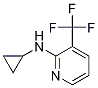 Cyclopropyl-(3-trifluoroMethyl-pyridin-2-yl)-aMine Struktur