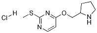 2-Methylsulfanyl-4-(pyrrolidin-2-ylmethoxy)-pyrimidine hydrochloride Struktur