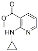 2-CyclopropylaMino-nicotinic acid Methyl ester Struktur