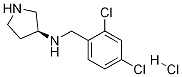 (2,4-Dichloro-benzyl)-(S)-pyrrolidin-3-yl-amine hydrochloride Struktur