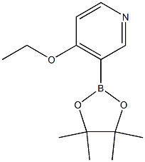 4-ethoxy-3-(4,4,5,5-tetraMethyl-1,3,2-dioxaborolan-2-yl)pyridine Struktur