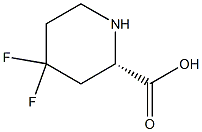 4,4-difluoro-(S)-pipecolic acid Struktur