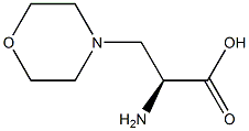 (S)-2-aMino-3-Morpholinopropanoic acid