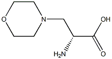 (R)-2-aMino-3-Morpholinopropanoic acid|(R)-2-AMINO-3-MORPHOLINOPROPANOIC ACID