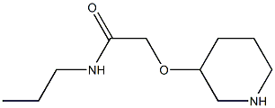 2-(3-PIPERIDINYLOXY)-N-PROPYLACETAMIDE Struktur