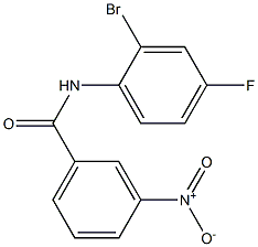 N-(2-bromo-4-fluorophenyl)-3-nitrobenzamide Struktur