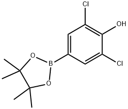 3,5-Dichloro-4-hydroxyphenylboronic acid pinacol ester Struktur