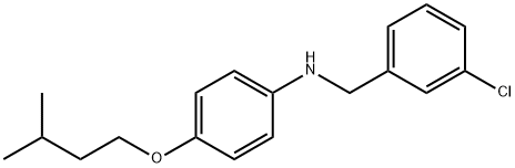 N-(3-Chlorobenzyl)-4-(isopentyloxy)aniline Struktur