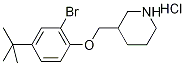 2-Bromo-4-(tert-butyl)phenyl 3-piperidinylmethylether hydrochloride Struktur