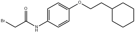 2-Bromo-N-[4-(2-cyclohexylethoxy)phenyl]acetamide Struktur