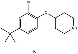 4-[2-Bromo-4-(tert-butyl)phenoxy]piperidinehydrochloride Struktur