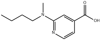 2-[Butyl(methyl)amino]isonicotinic acid Struktur