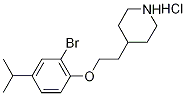 4-[2-(2-Bromo-4-isopropylphenoxy)ethyl]piperidinehydrochloride Struktur