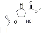 Methyl (2S,4S)-4-[(cyclobutylcarbonyl)oxy]-2-pyrrolidinecarboxylate hydrochloride Struktur