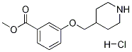 Methyl 3-(4-piperidinylmethoxy)benzoatehydrochloride Struktur