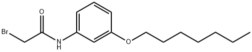 2-Bromo-N-[3-(heptyloxy)phenyl]acetamide Struktur