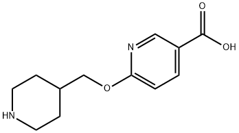 6-(piperidin-4-ylmethoxy)nicotinic acid Struktur