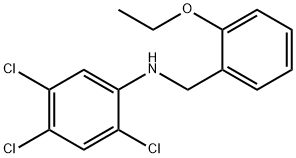 2,4,5-Trichloro-N-(2-ethoxybenzyl)aniline Struktur