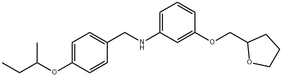 N-[4-(sec-Butoxy)benzyl]-3-(tetrahydro-2-furanylmethoxy)aniline Struktur