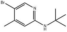 N-(5-Bromo-4-methyl-2-pyridinyl)-N-(tert-butyl)amine Struktur