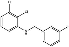 2,3-Dichloro-N-(3-methylbenzyl)aniline Struktur