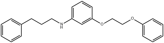 3-(2-Phenoxyethoxy)-N-(3-phenylpropyl)aniline Struktur