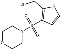 4-{[2-(chloromethyl)thien-3-yl]sulfonyl}morpholine Struktur