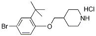 4-Bromo-2-(tert-butyl)phenyl 4-piperidinylmethylether hydrochloride Struktur