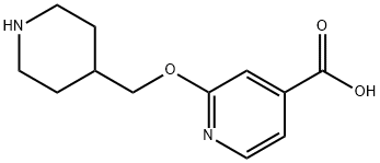 2-(piperidin-4-ylmethoxy)isonicotinic acid Struktur