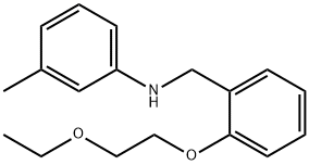 N-[2-(2-Ethoxyethoxy)benzyl]-3-methylaniline Struktur