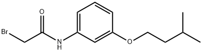 2-Bromo-N-[3-(isopentyloxy)phenyl]acetamide Struktur