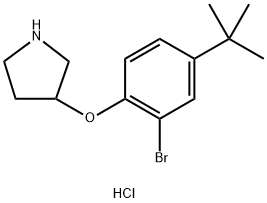 3-[2-Bromo-4-(tert-butyl)phenoxy]pyrrolidinehydrochloride Struktur