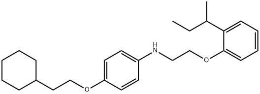 N-{2-[2-(sec-Butyl)phenoxy]ethyl}-4-(2-cyclohexylethoxy)aniline Struktur