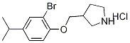 3-[(2-Bromo-4-isopropylphenoxy)methyl]pyrrolidinehydrochloride Struktur