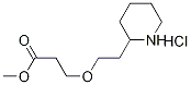 Methyl 3-[2-(2-piperidinyl)ethoxy]propanoatehydrochloride Struktur