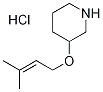 3-[(3-Methyl-2-butenyl)oxy]piperidinehydrochloride Struktur