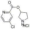 3-Pyrrolidinyl 4-chloro-2-pyridinecarboxylatehydrochloride Struktur