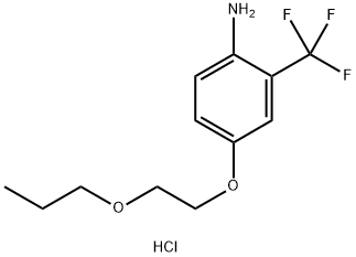 4-(2-Propoxyethoxy)-2-(trifluoromethyl)anilinehydrochloride Struktur