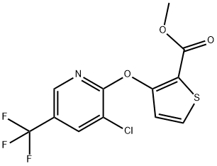 Methyl 3-[3-chloro-5-(trifluoromethyl)pyridin-2-yloxy]thiophene-2-carboxylate 97% Struktur