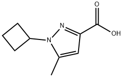 1-Cyclobutyl-5-methyl-1H-pyrazole-3-carboxylic acid Struktur