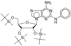 2-PhenylaMino-2',3',5'-tris-O-tertbutyldiMethylsilyl Adenosine Struktur