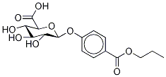  化學(xué)構(gòu)造式