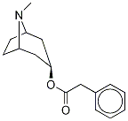 3α-Phenylacetoxy Tropane-d5 Struktur