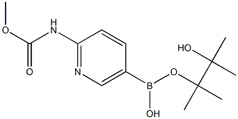 2-MethoxycarbonylaMinopyridine-5-boronic acid pinacol ester Struktur